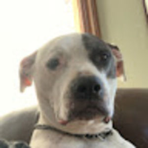 Meet your Posher, Joseph